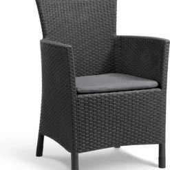 Allibert Iowa Tuinstoel - 60x62x89cm – Grafiet